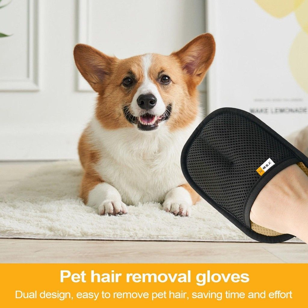 Pet Hair Removal Gloves🐶 Shed No More – Pet Hair Remover Glove | 43% OFF!